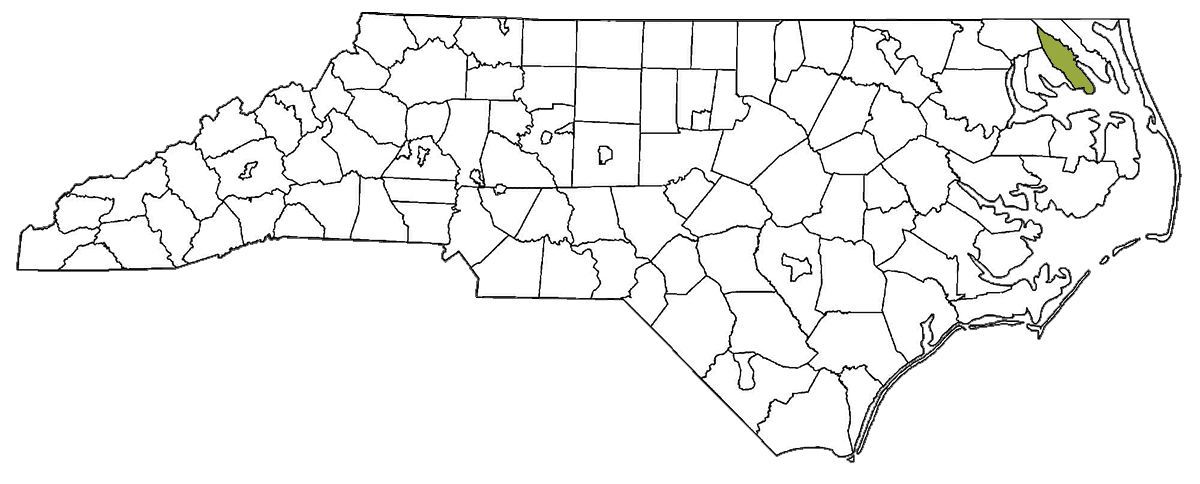 Elizabeth City-Pasquotank - EducationNC