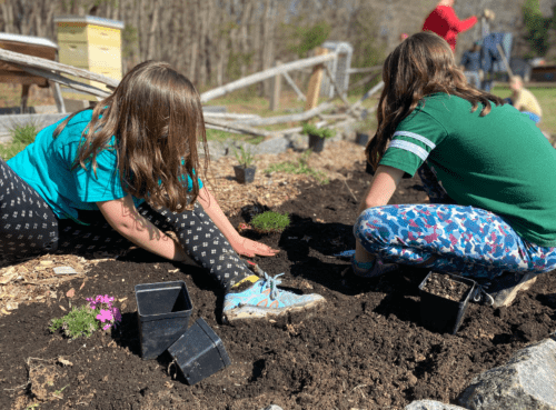 A little sunshine with the Hub Farm - EducationNC