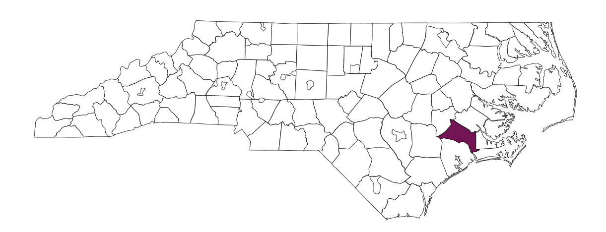 Jones County School System: Data, performance - EducationNC